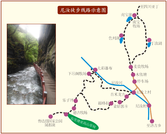 到云南来一场徒步游,走进"天然氧吧"