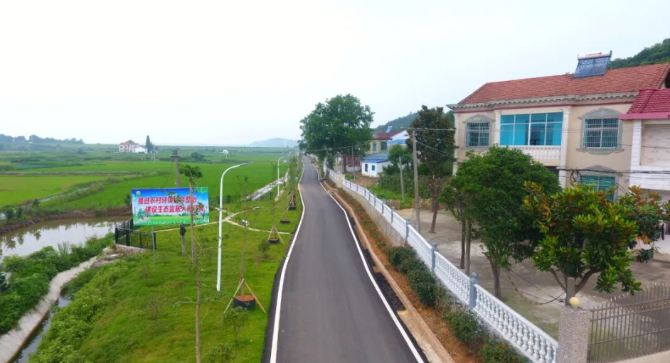 岳阳市云溪区:持续推深做实林长制 当好绿色发展守护者