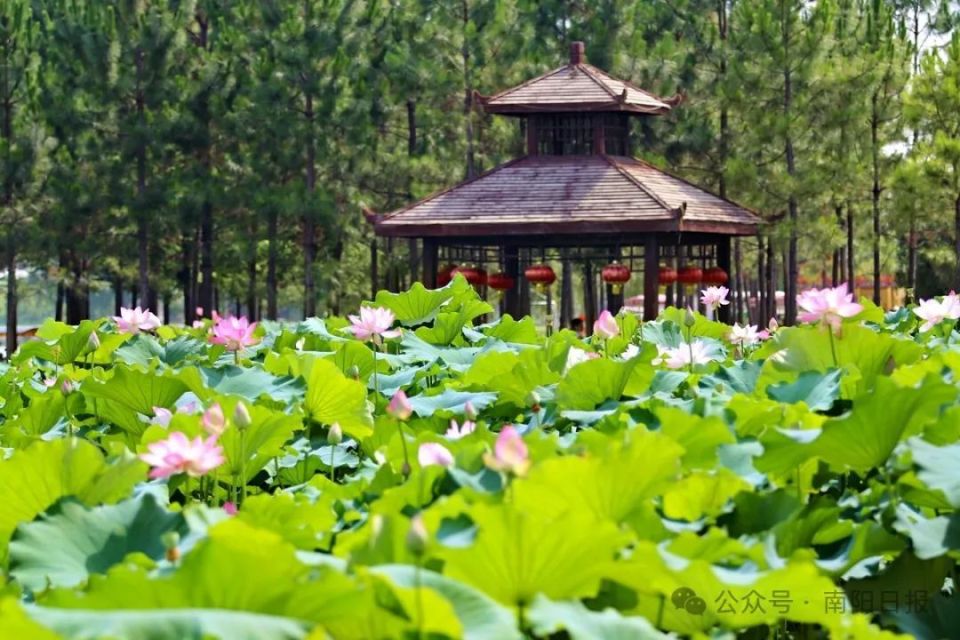 南阳镇平旅游景点大全图片