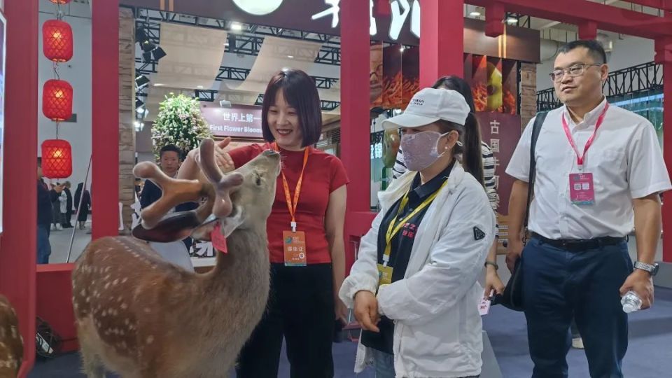 这次高品质大会让人看到"不一样"的铁岭