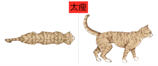 这几个原因可能会导致你家猫再也不愿意跳跃了_腾讯新闻