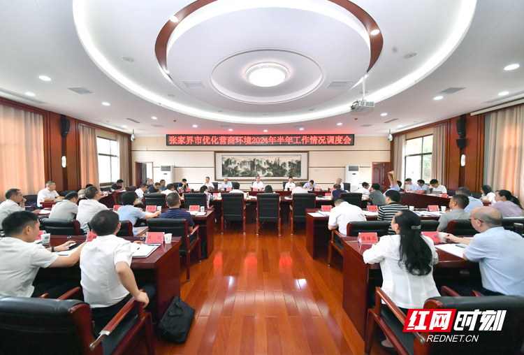 张家界市优化营商环境2024年半年工作情况调度会召开