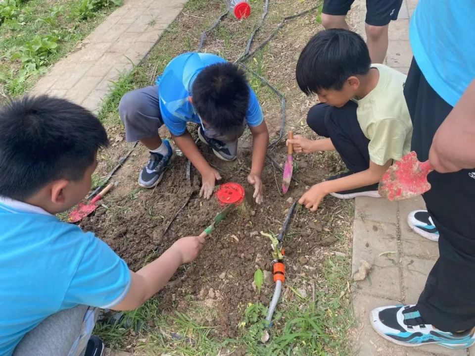 世界环境日,看生态文明教育如何在北京校园生根发芽