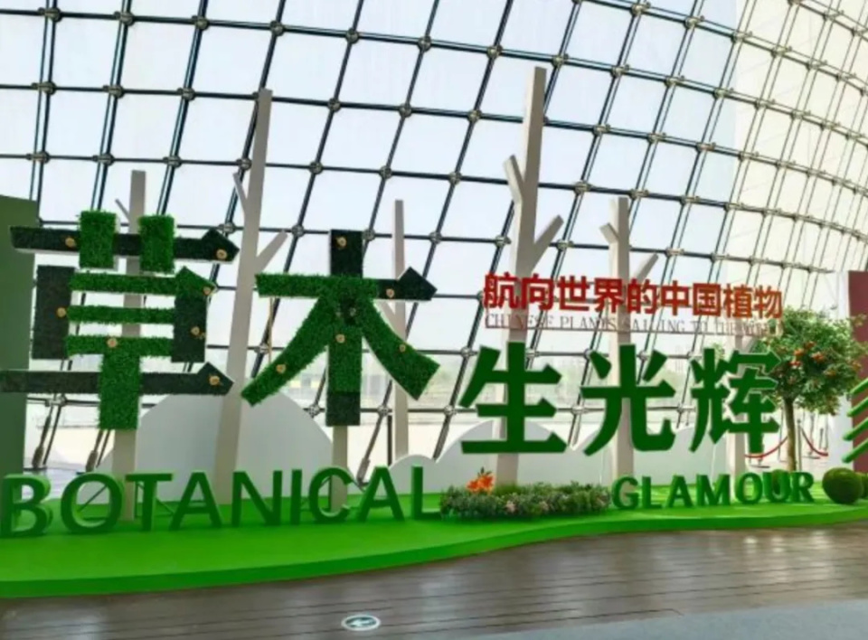 植物展与花展同日启幕在这个"博物馆里的花展"上,游客可以看到水稻