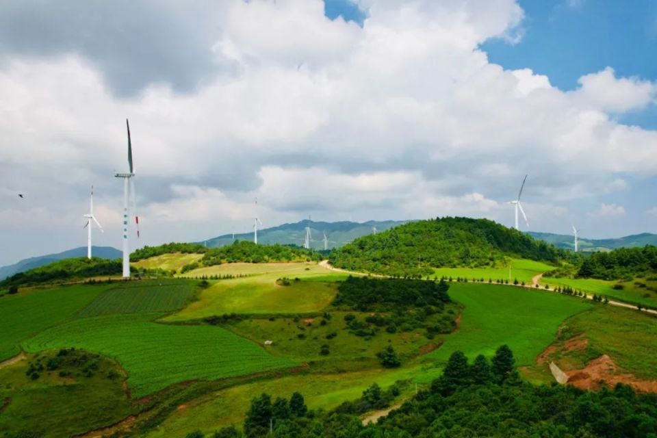 【绿美宾川】宾居乌龙坝的"绿美"之路_腾讯新闻