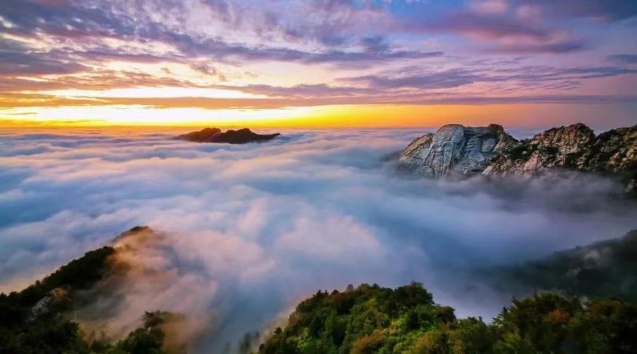 全新首页焕新登场