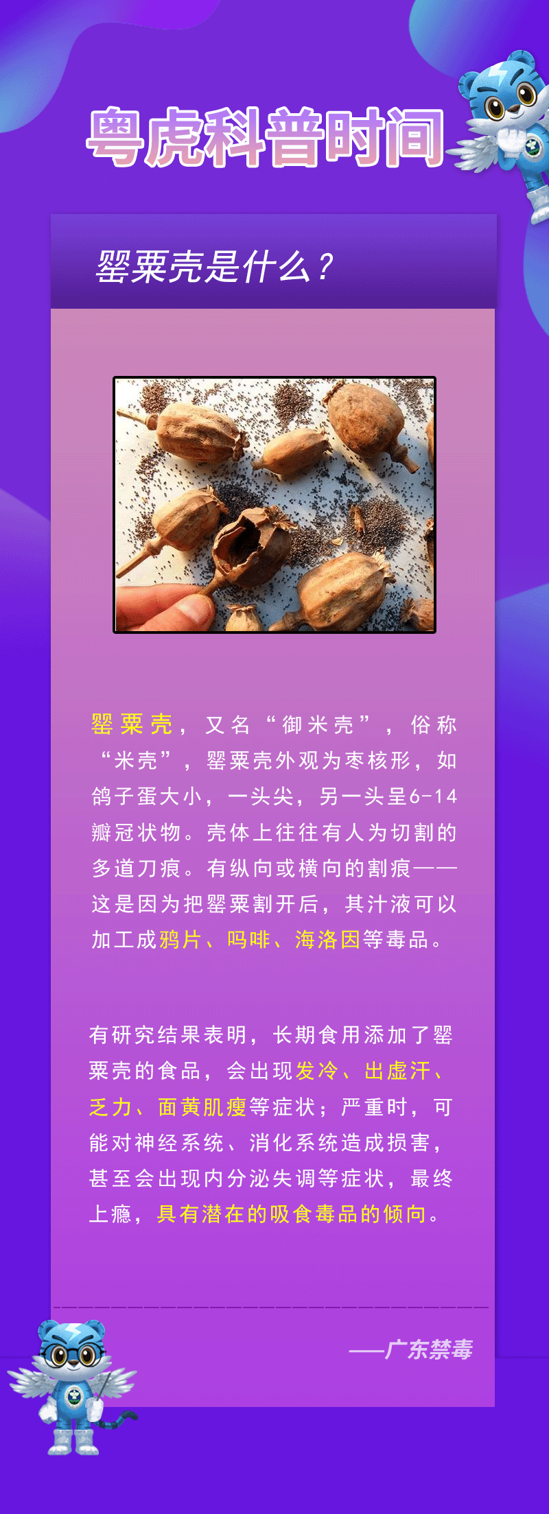 鸦片花制作过程图片