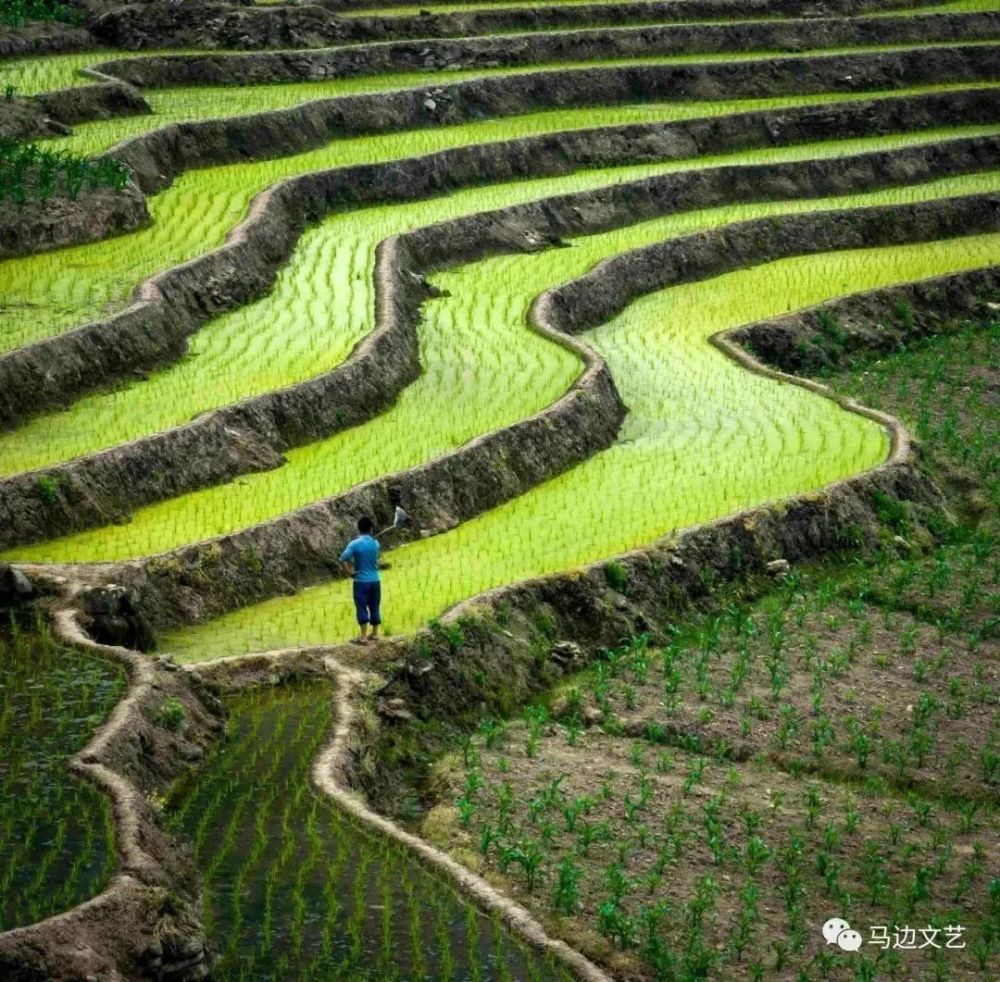 五月遇见马边筲箕坡最美梯田