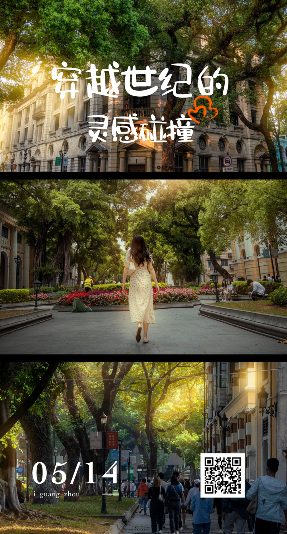 中法六十年,广东又出圈了