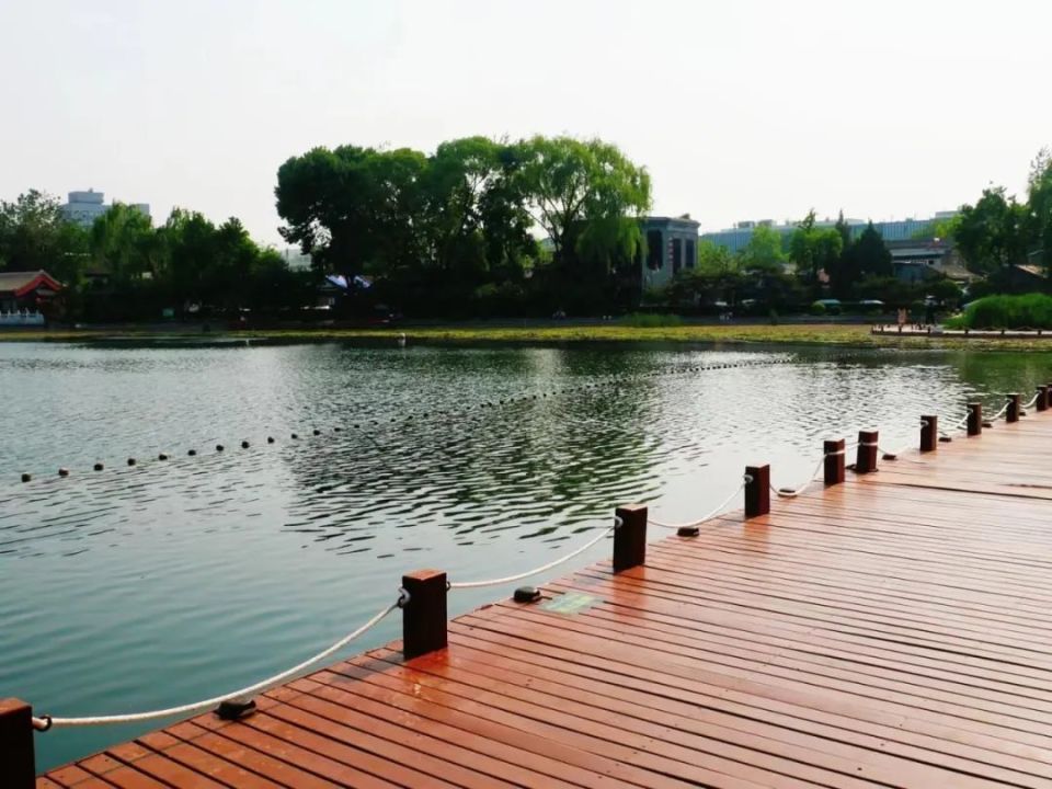 快来这5处湿地公园拥抱夏天|city