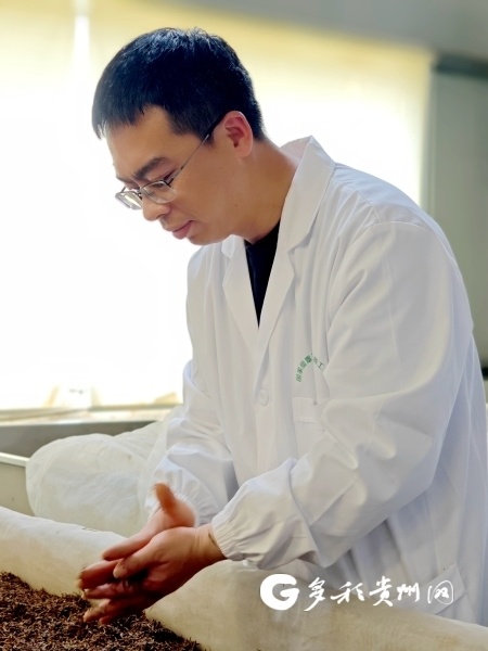 【打卡贵州茶】"茶博士"潘科:黔茶飘香里的"技艺"与"科技"