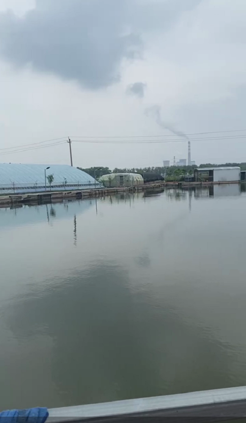 2020年9月7日,段宏楠在吉林省长春市宽城区小城子路