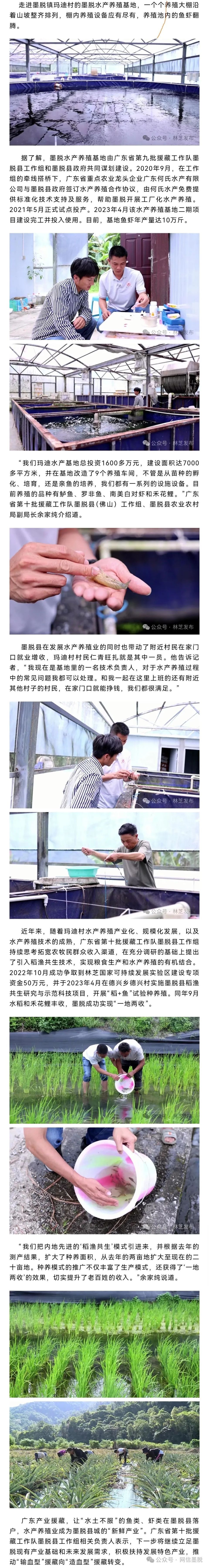 关于何氏水产产品的信息 关于何氏水产产物
的信息（关于何氏水产产物的信息有哪些） 水产