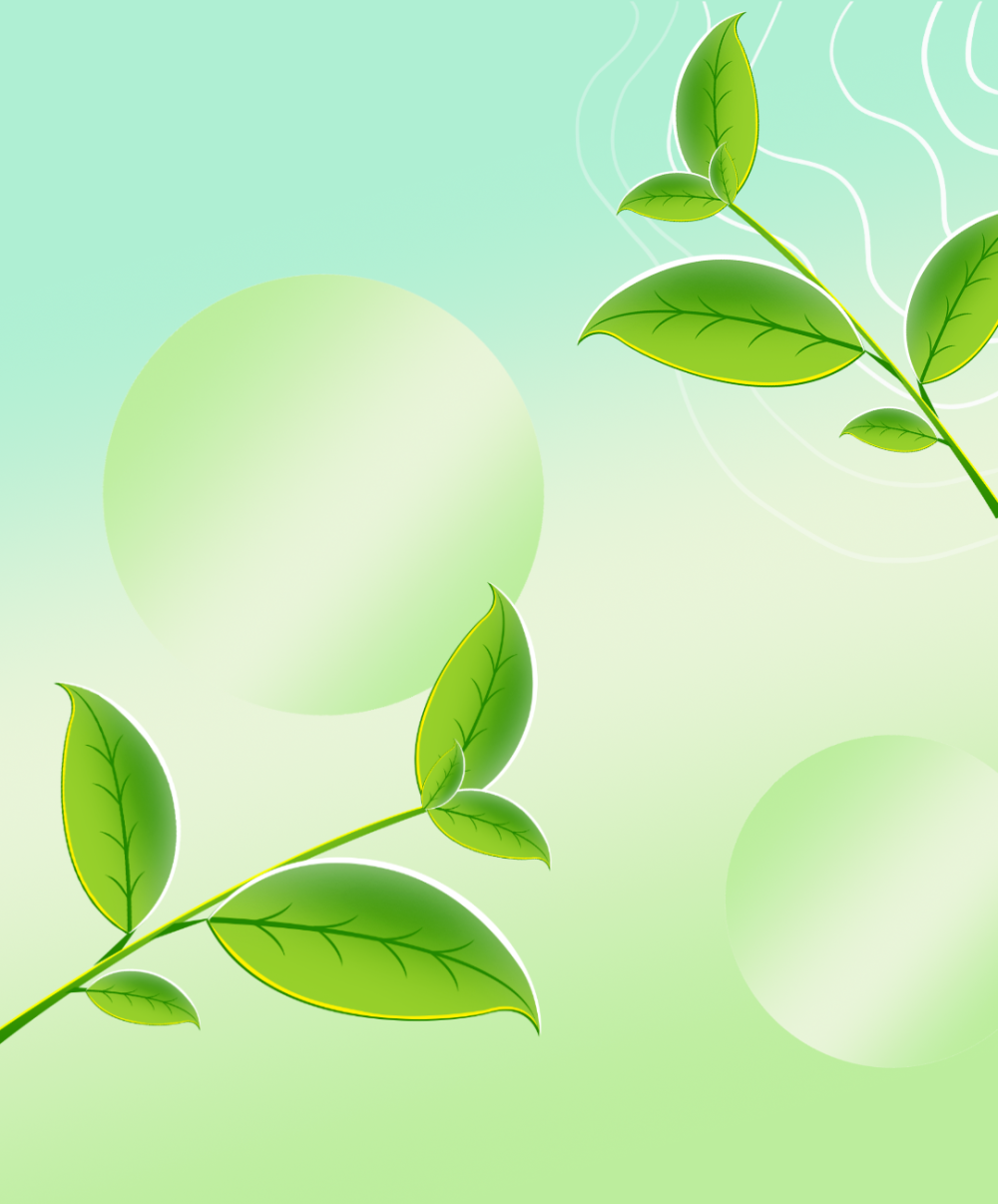 赴一场怀化茶山的春之约_腾讯新闻