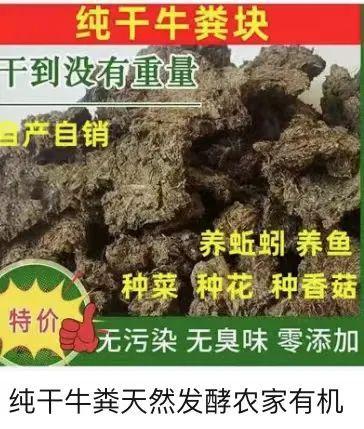 [南方生姜网-图片加载]
