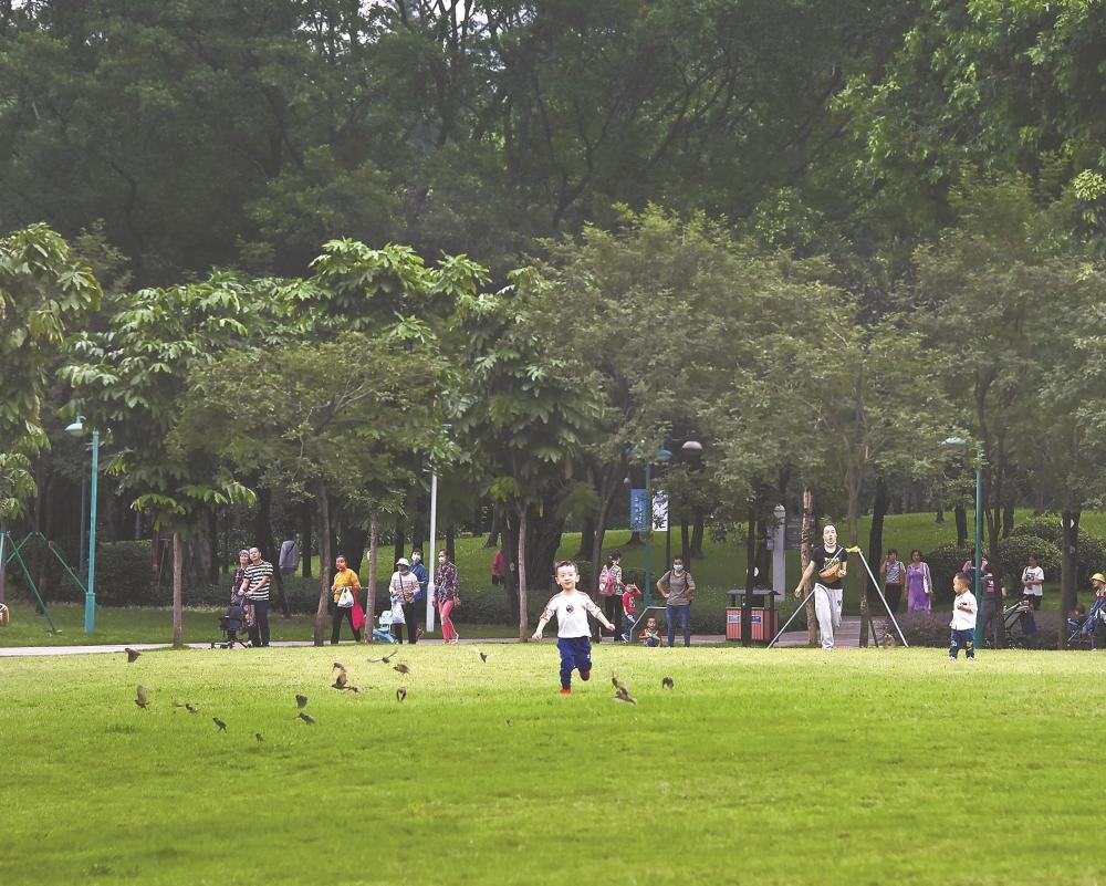 广州市林业和园林局提升市民绿色幸福感和获得感科学有序推进公园草坪