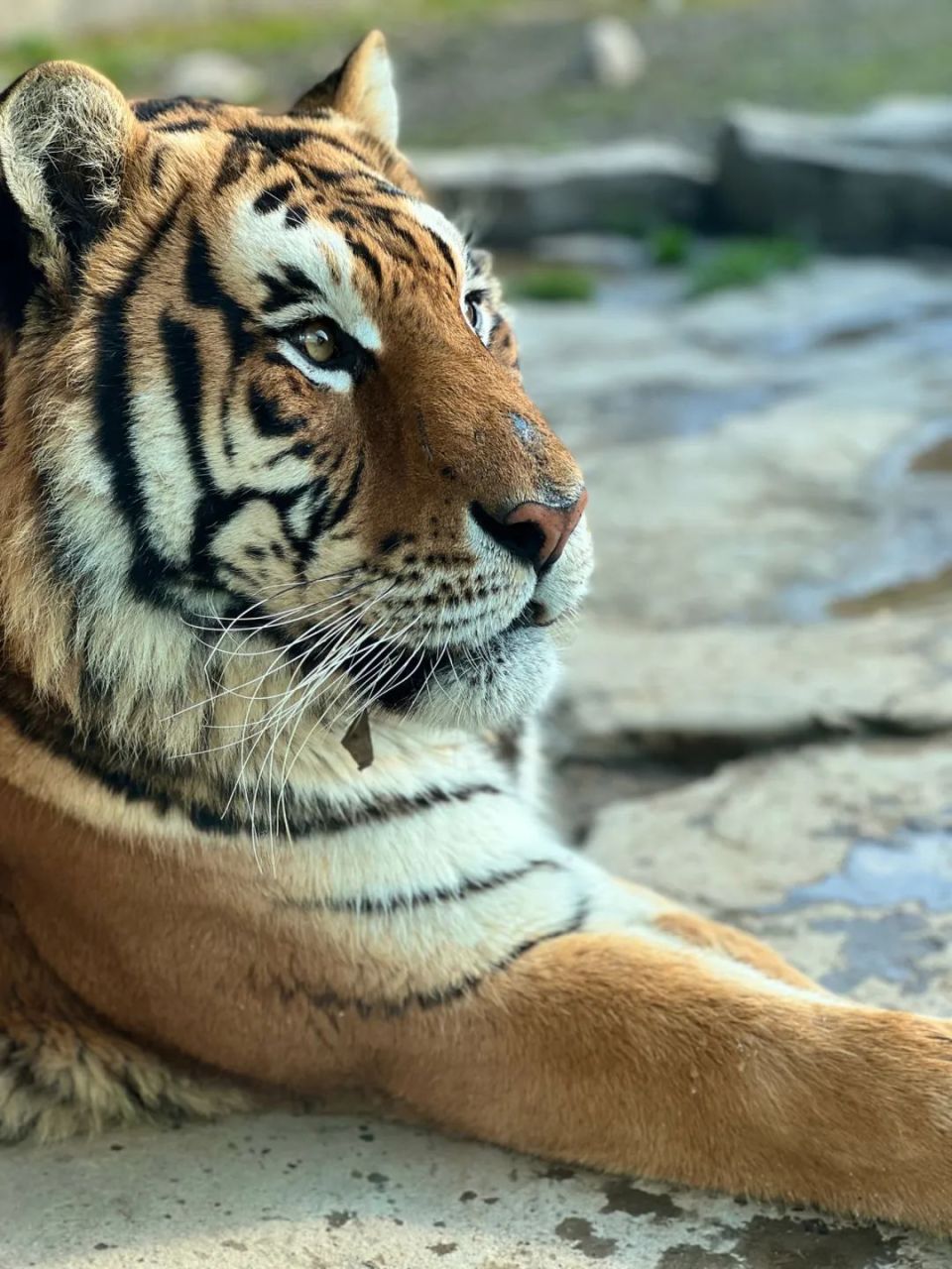 960_1280竖版 竖屏