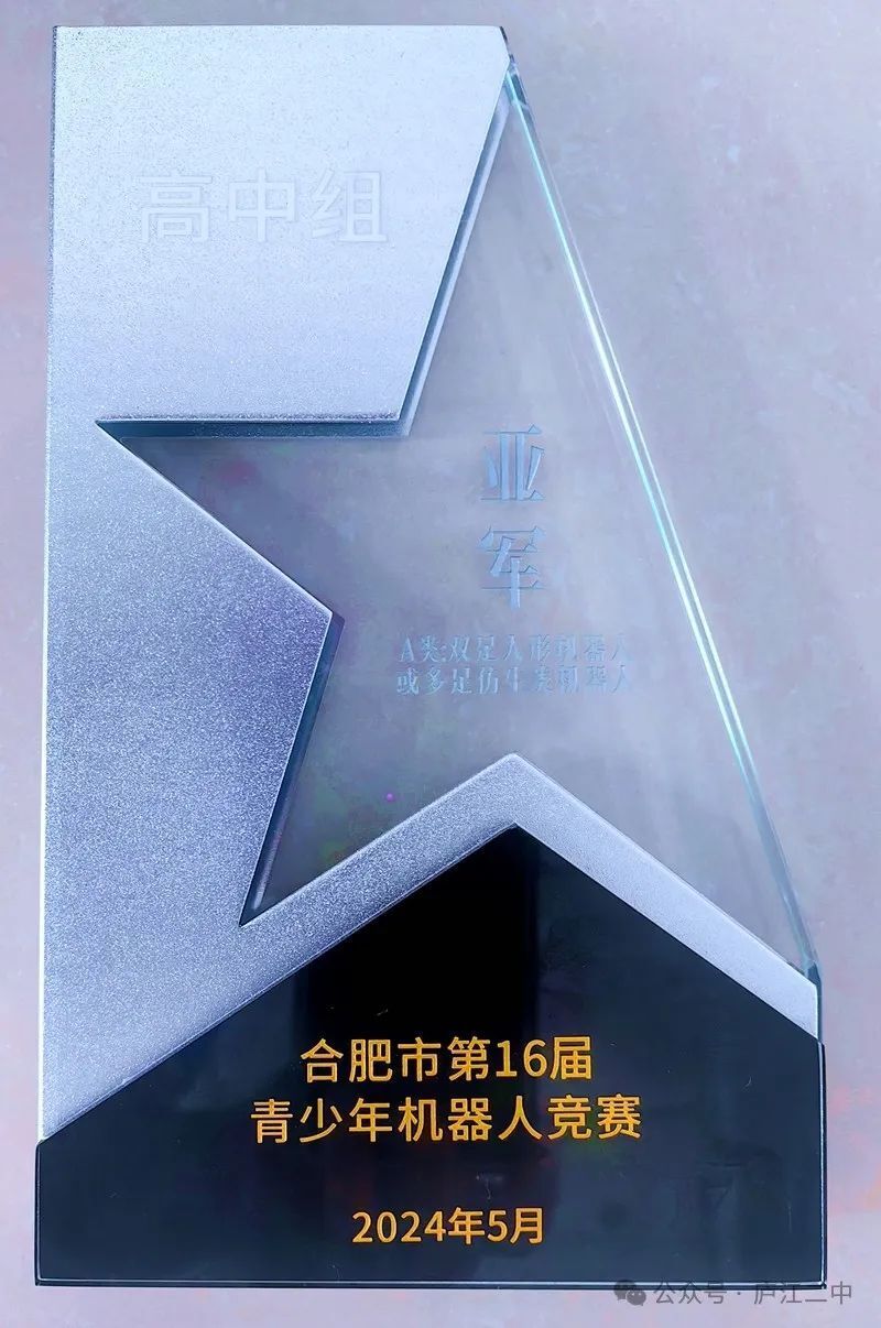 庐江二中学:喜报