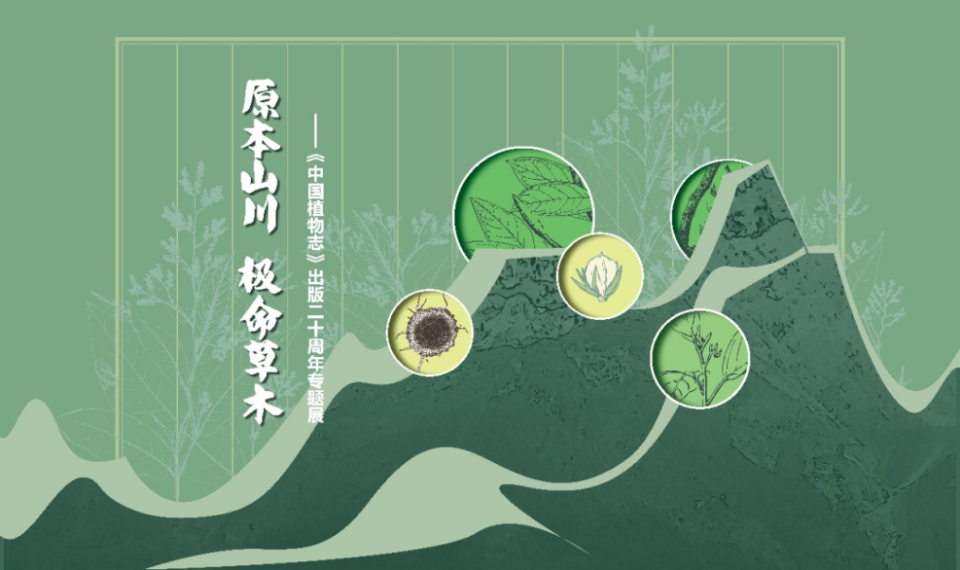 原本山川 极命草木——《中国植物志》出版二十周年专题展