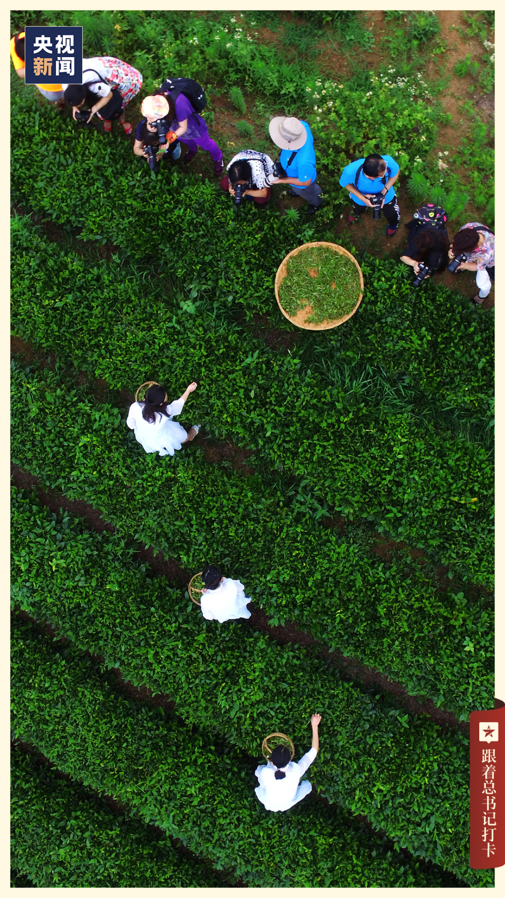 又 是 被 「 日 照 」 的 一 天