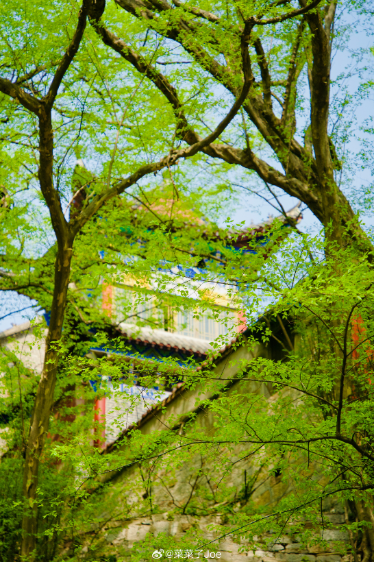 春游江淮 | 春游宿州皇藏峪国家森林公园,五柳景区与西山花海 来一场