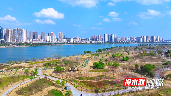 永州冷水滩:樱花怒放迎春来_腾讯新闻