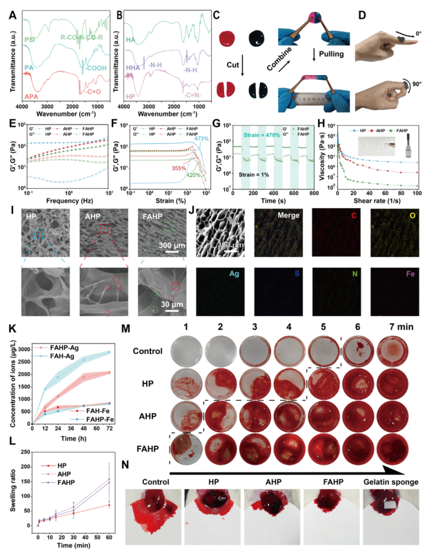 抗菌敷料有哪些西安交大AM：新型自进化水凝胶敷料，为感染性糖尿病伤口愈合提供时空精准调控新策略_https://www.jmylbn.com_新闻资讯_第5张