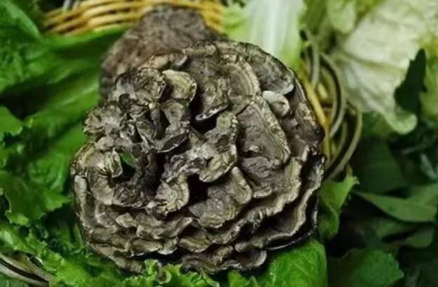 科普丨野生菌"防毒"指南