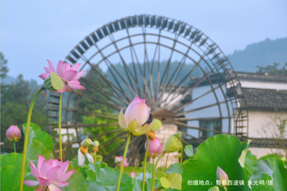 【早安,黄山】全市警示教育大会召开 ‖ 西溪南景区今起恢复开放