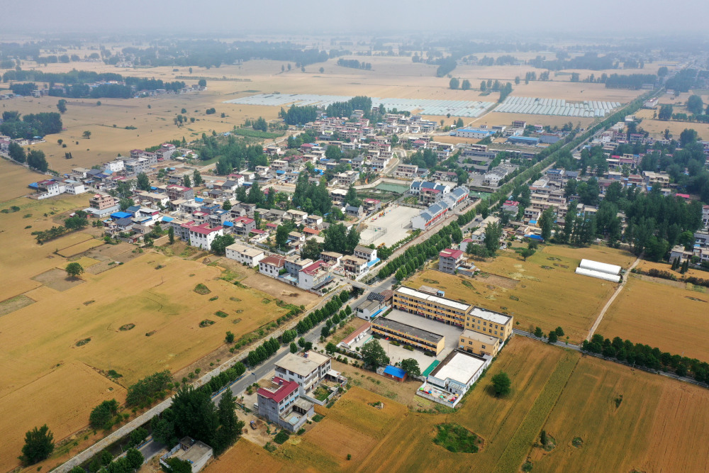 河南周口:产业振兴助力乡村振兴