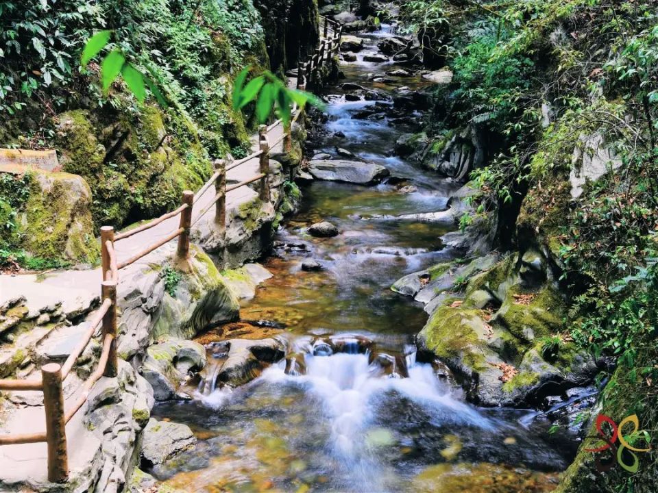 暑期来了,新平县开启"宠粉"模式!