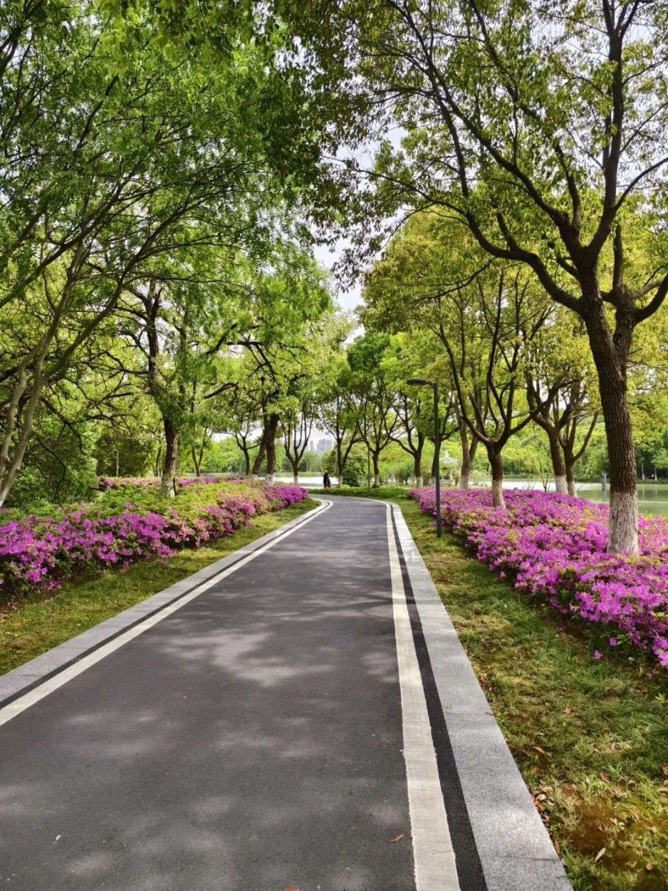 爱在鸠兹·燃情99 | 听说,这是芜湖最适合"躺坪"的公园!| 皖美夏日