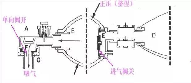 呼吸球囊结构图图片