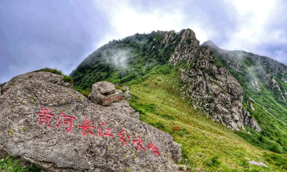 漫游秦楚古道 醉赏杜鹃花海
