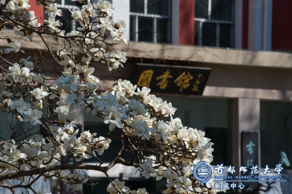 首都师范大学2024年本科招生章程