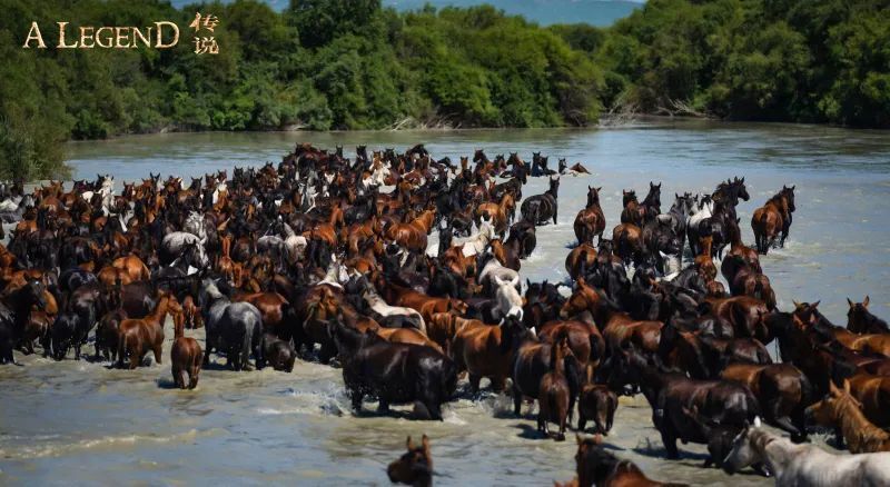 "中国天马之乡"昭苏县昭苏县位于新疆伊犁哈萨克自治州,地理环境独特
