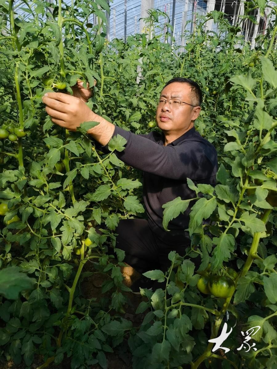 昌乐:"数智"赋能,农业向"新"