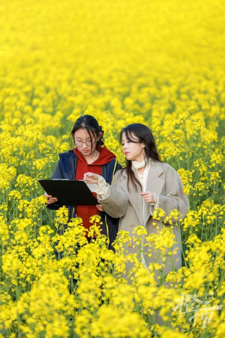 杭四中江东学校的美术课,带学生走进大自然写生_腾讯新闻