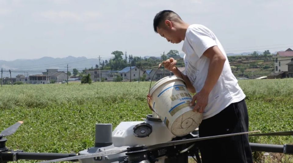 黄平县:无人机喷洒农药防病害 助力灾后农作物保增收