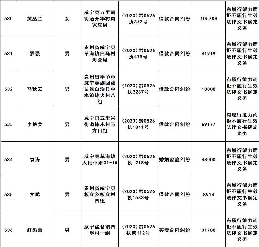 老赖名单查询人员名单图片