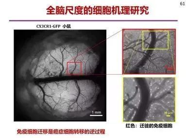 人工智能认知研究_搭建沟通的桥梁_搭建桥梁