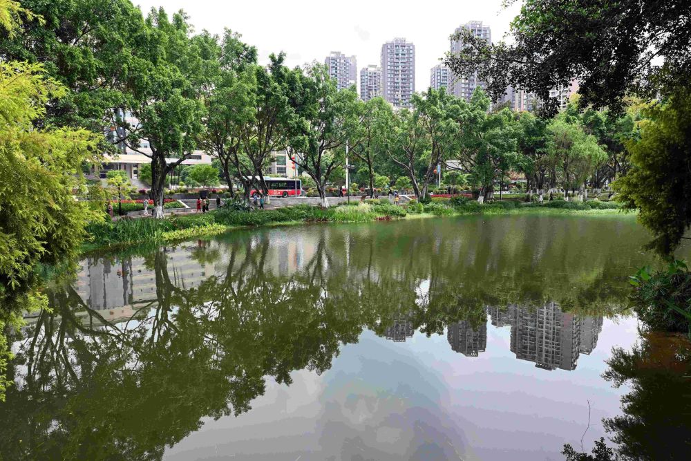 重庆大渡口公园三境融合,成为重庆市民休闲娱乐的好去处