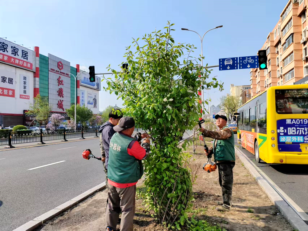 哈尔滨市道外区提升园林绿化景观效果