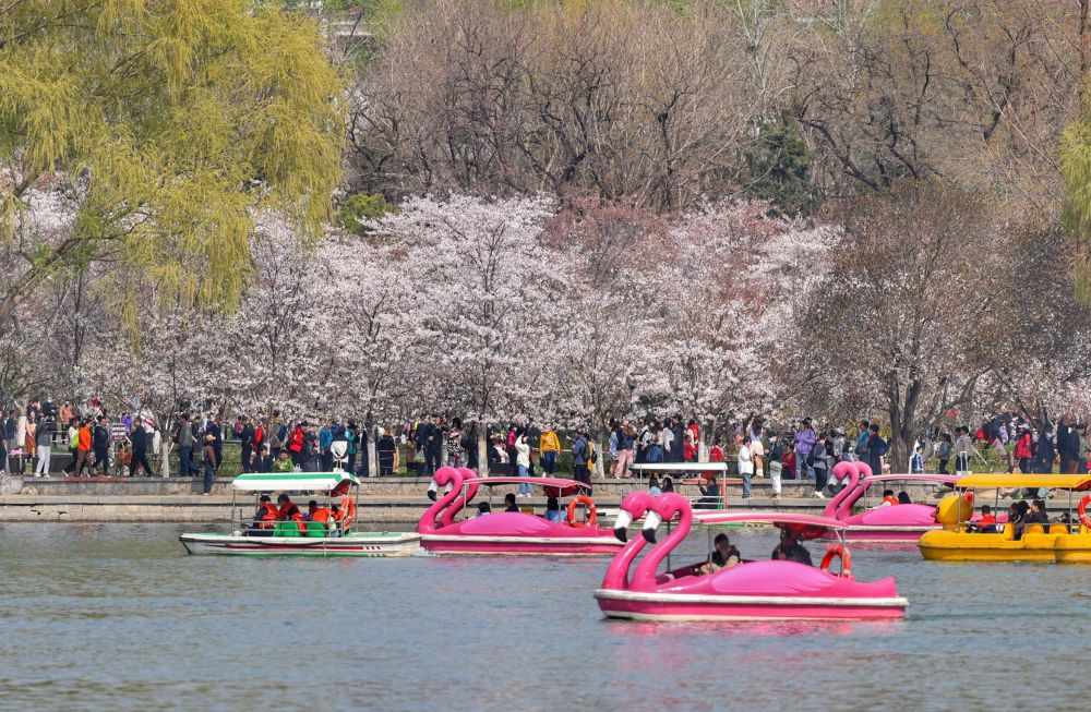 93万人次畅游公园_腾讯新闻