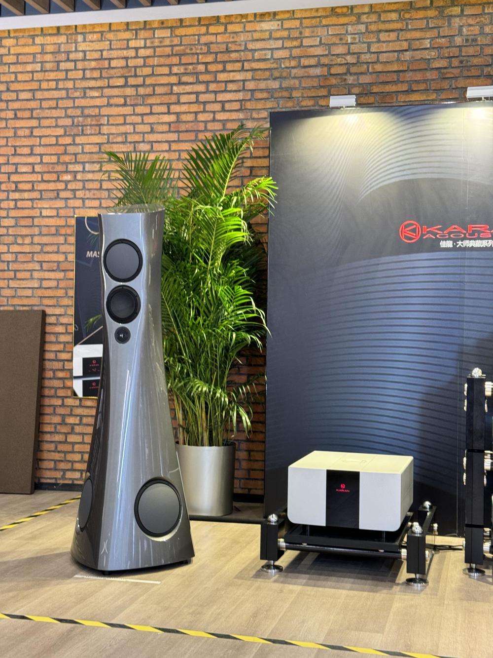 2024北京音响展深入回顾!百万喇叭,顶级耳机还有九段颤抖的荷包