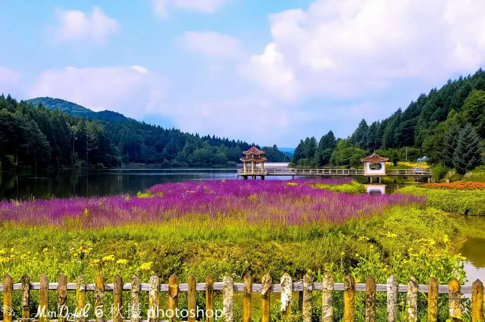 00—晚6:00营业时间:4月20号正式营业百卉园景区位于吉林省白山市江源