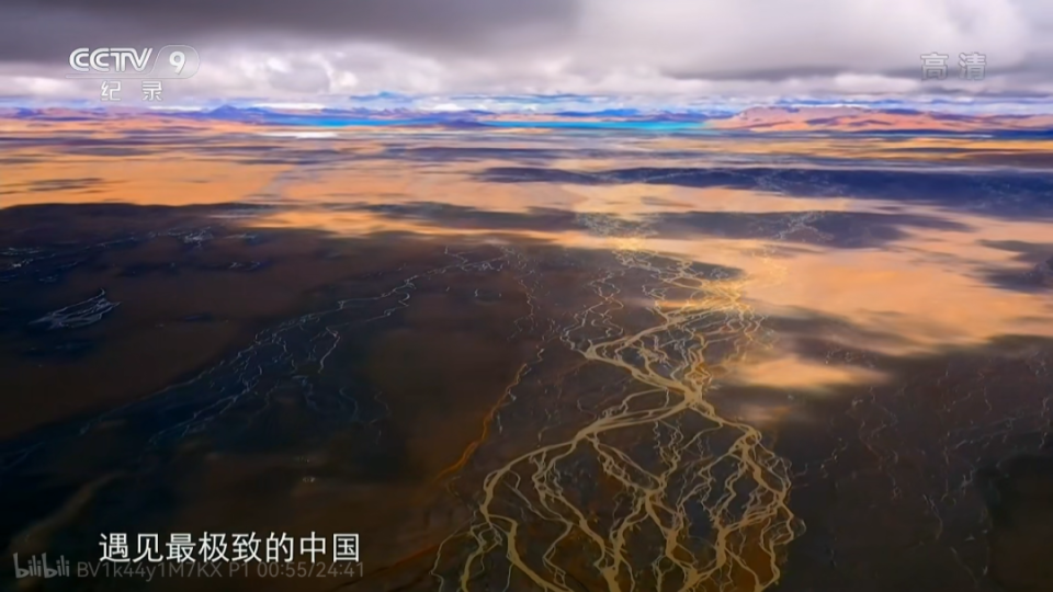 6部宝藏纪录片,带孩子吃透书,更培养学习力