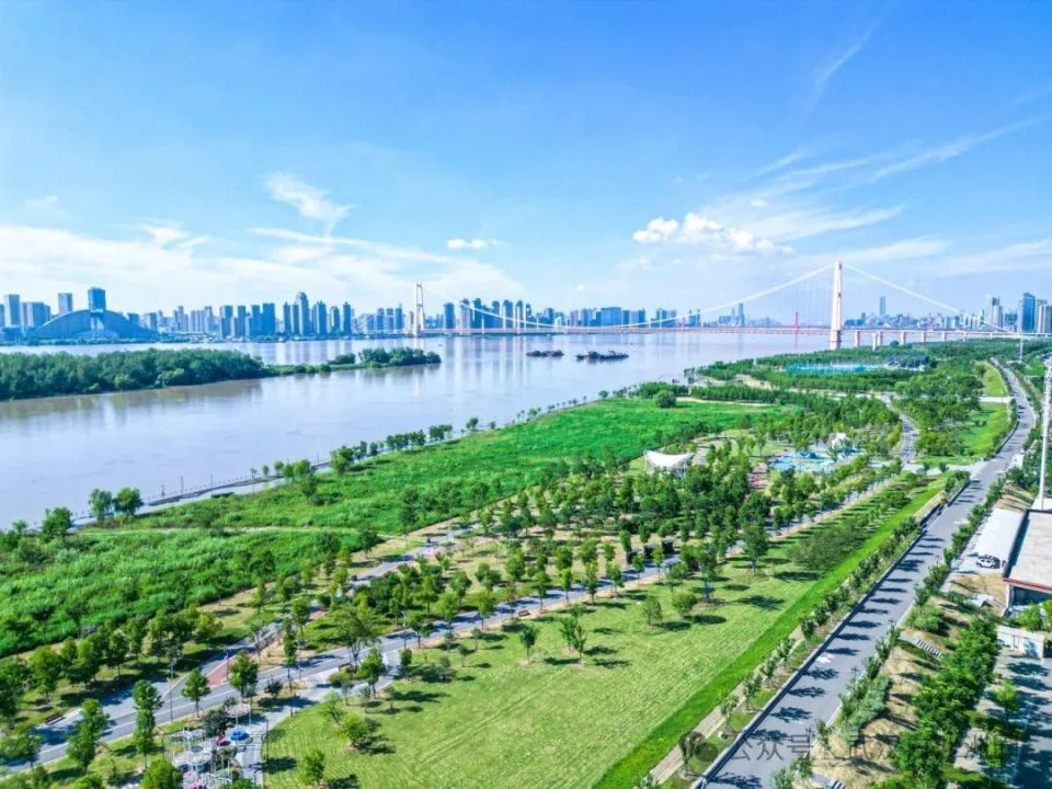 白沙洲洪山江滩今明两天进行汛后消杀