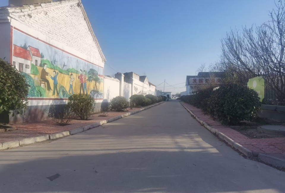 青州市东夏镇以"五清强基"带动农村人居环境大提升_腾讯新闻