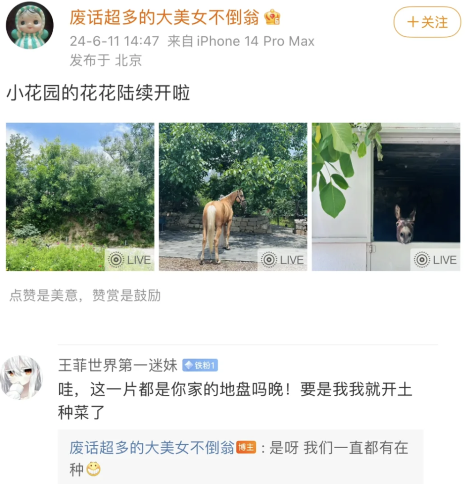 晚晚夫妇被曝租住别墅长期拖欠房租，顶流网红混得这么惨？_腾讯新闻